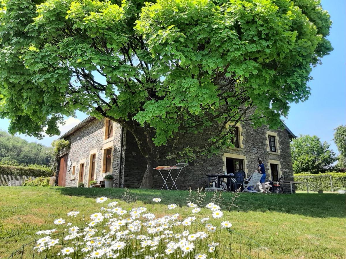 La Maison Des Marguerites Vresse-sur-Semois Exterior photo